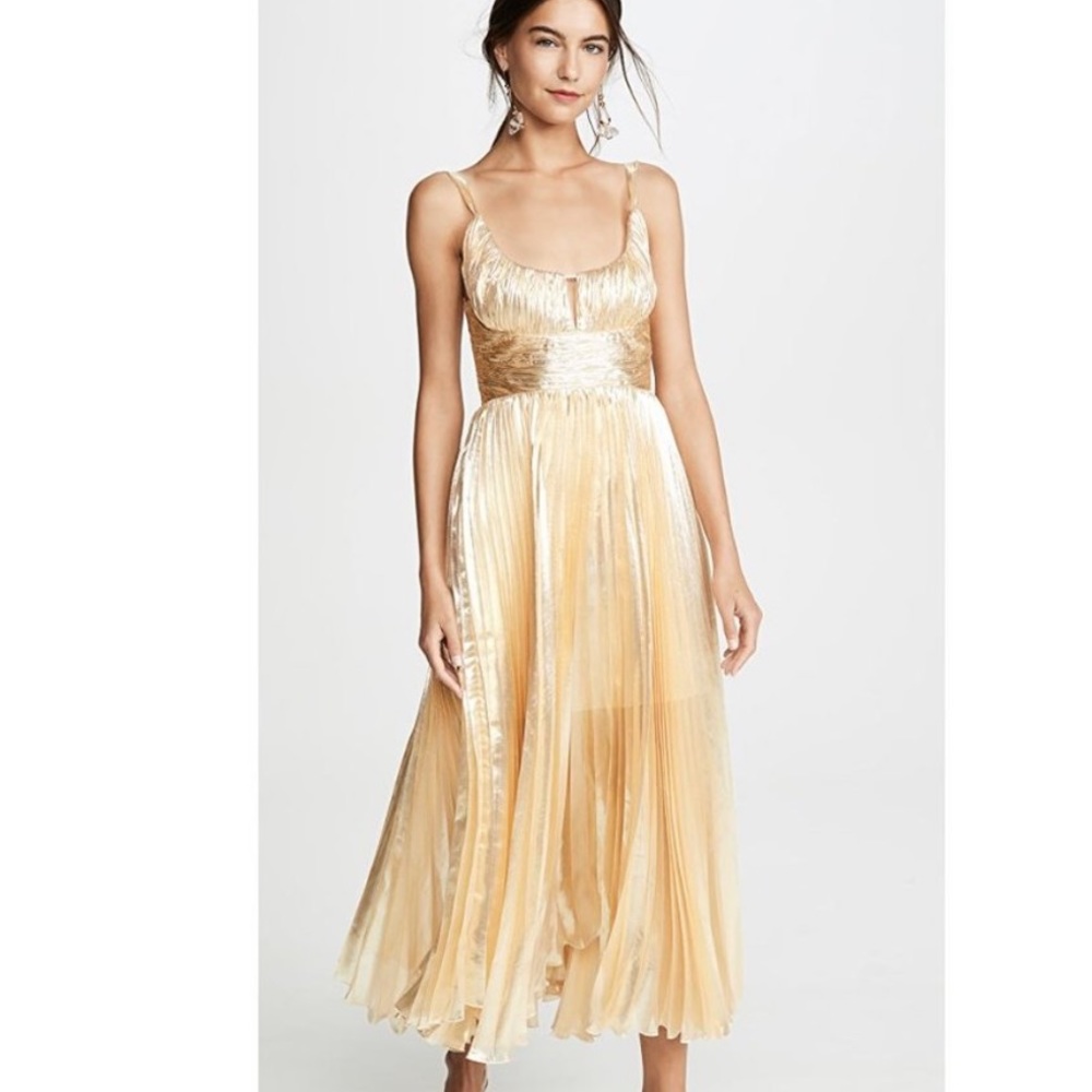 Maria Lucia Hohan Amalia Lame' Plisse' Midi Dress